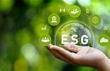 ESG là gì? Tiêu chuẩn và 7 bước lập báo cáo ESG